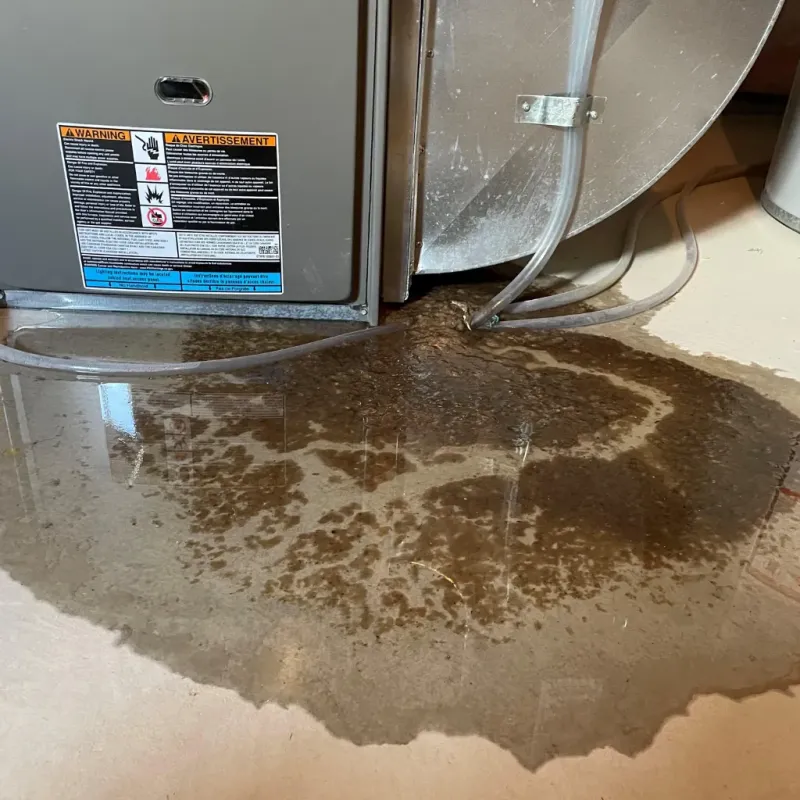 Appliance Leak Cleanup in Thomasboro, IL